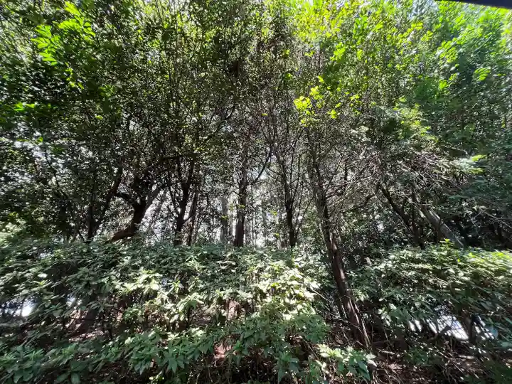 手力雄神社(岐阜県)