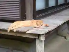 熊野三所神社の動物