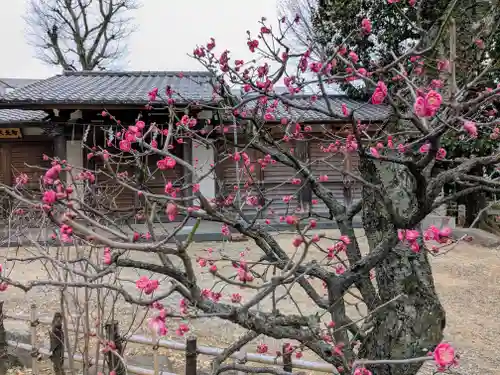 西向天神社(東京都)