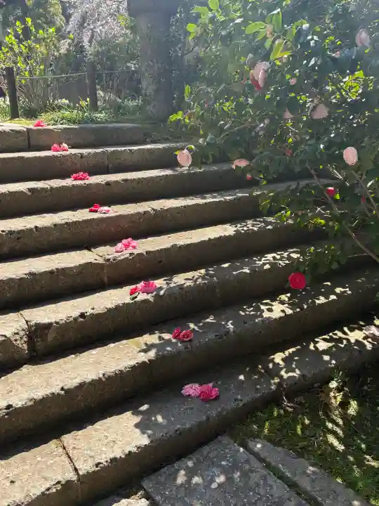 安國論寺(安国論寺)の{uncategorized: "未分類", other: "その他", undefined: "問題あり", building: "その他建物", grave: "お墓", sacred_gate: "鳥居", guardian: "狛犬", statue: "像", buddha: "仏像", history: "歴史", nature: "自然", garden: "庭園", animal: "動物", pagoda: "塔", temizu: "手水舎", mountain_gate: "山門・神門", sanctuary: "本殿・本堂", subordinate: "末社・摂社", art: "芸術", scenery: "景色", jizo: "地蔵", ema: "絵馬", goshuin: "御朱印", omikuji: "おみくじ", items: "授与品その他", amulet: "お守り", goshuincho: "御朱印帳", eats: "食事", festival: "お祭り", votive_dance: "神楽", shichigosan: "七五三参", wedding: "結婚式", experience: "体験その他", initially: "初詣", around: "周辺", anti_infection: "感染症対策"}