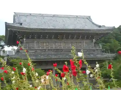 光明寺の山門・神門
