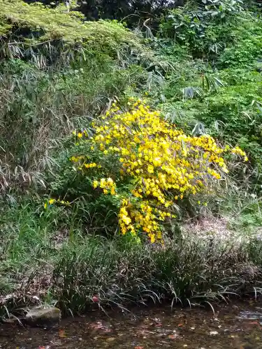 賀茂御祖神社（下鴨神社）の自然