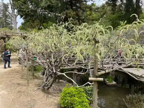 歌泉堂（春日大社神苑萬葉植物園内鎮座）(奈良県)
