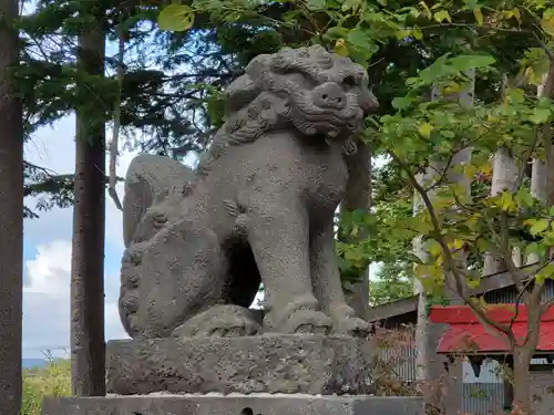 倶知安神社の狛犬