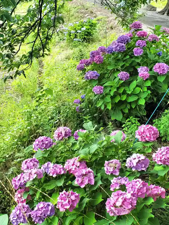 高司神社〜むすびの神の鎮まる社〜(福島県)