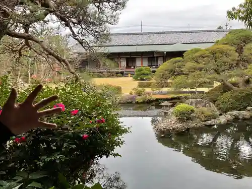 題経寺（柴又帝釈天）(東京都)