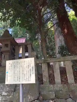 天鷹神社(岐阜県)