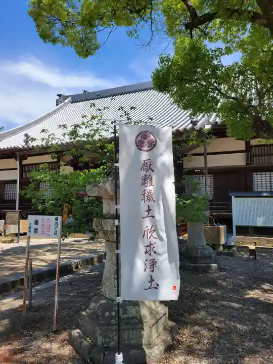 大樹寺(松安院大樹寺)(愛知県)