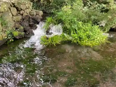 富士山本宮浅間大社(静岡県)