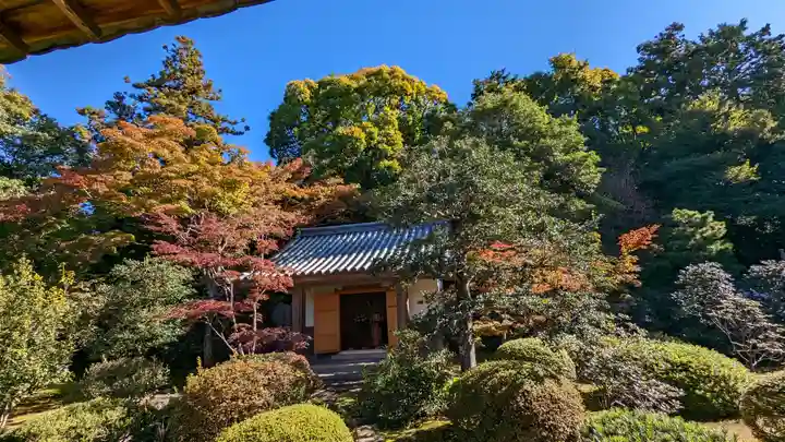 隨心院(随心院)(京都府)