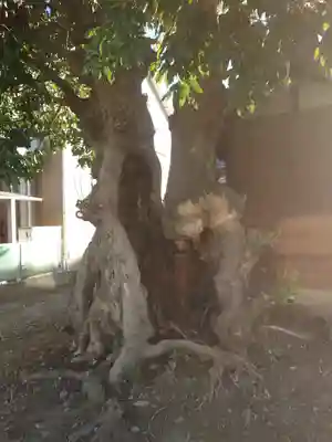 海老名氏霊堂(神奈川県)