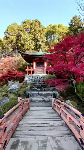 醍醐寺(京都府)