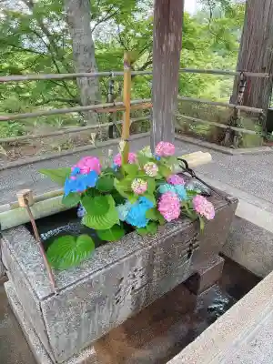 善峯寺(京都府)