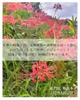 【公式】龍門院常楽寺(秩父札所十一番)(埼玉県)