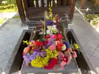 勝林寺(京都府)