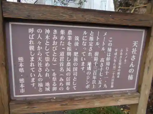 高橋東神社の建物その他