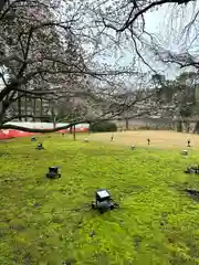 醍醐寺(京都府)