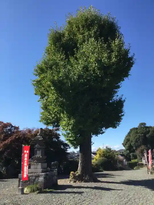 自音寺(群馬県)