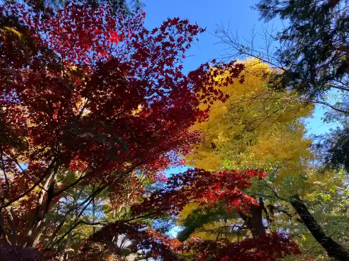 淨眞寺(東京都)