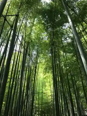 報国寺(神奈川県)