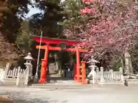 祝田神社の鳥居