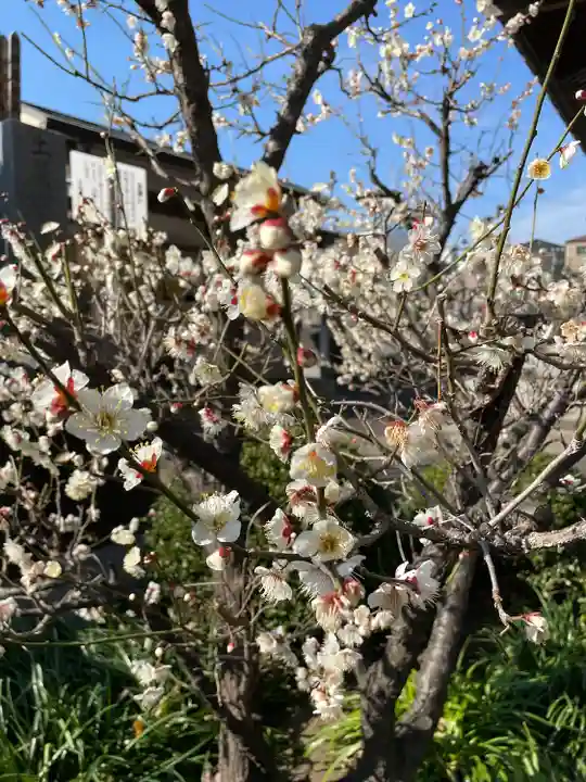 真正寺(東京都)