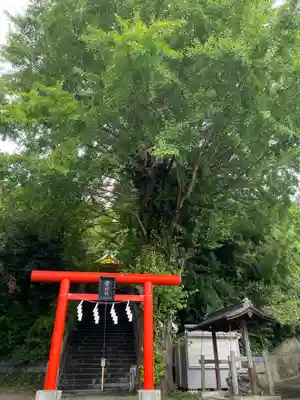 雷神社(神奈川県)