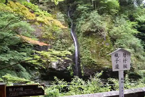 榛名神社の自然