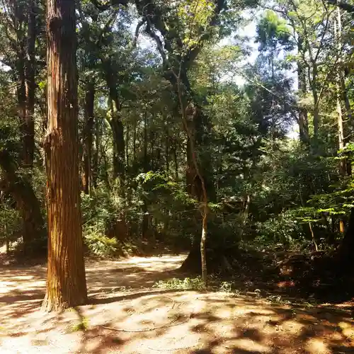 鹿島神宮の自然