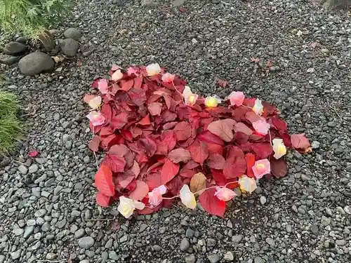 彌彦神社　(伊夜日子神社)の庭園
