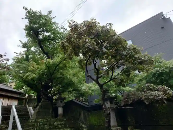 紅葉八幡宮(福岡県)
