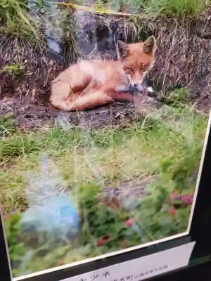 竹山随護稲荷神社(長野県)