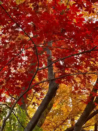 華厳寺（鈴虫寺）(京都府)