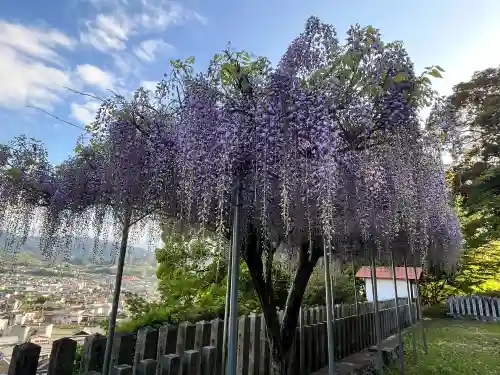 高野口八幡神社の{uncategorized: "未分類", other: "その他", undefined: "問題あり", building: "その他建物", grave: "お墓", sacred_gate: "鳥居", guardian: "狛犬", statue: "像", buddha: "仏像", history: "歴史", nature: "自然", garden: "庭園", animal: "動物", pagoda: "塔", temizu: "手水舎", mountain_gate: "山門・神門", sanctuary: "本殿・本堂", subordinate: "末社・摂社", art: "芸術", scenery: "景色", jizo: "地蔵", ema: "絵馬", goshuin: "御朱印", omikuji: "おみくじ", items: "授与品その他", amulet: "お守り", goshuincho: "御朱印帳", eats: "食事", festival: "お祭り", votive_dance: "神楽", shichigosan: "七五三参", wedding: "結婚式", experience: "体験その他", initially: "初詣", around: "周辺", anti_infection: "感染症対策"}