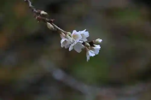 鹿島大神宮の庭園