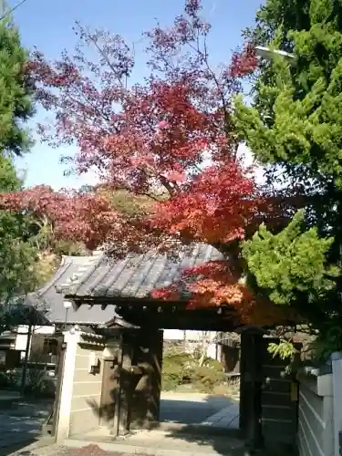 浄光明寺の山門