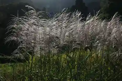 高司神社〜むすびの神の鎮まる社〜の周辺