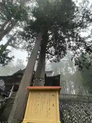 三峯神社(埼玉県)