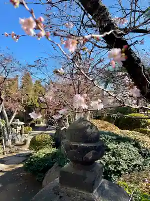 清光院(東京都)