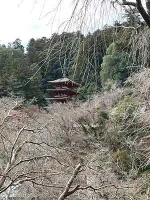 長谷寺(奈良県)