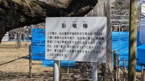 櫻岡大神宮の歴史