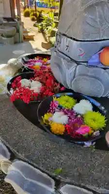 遍照院(愛知県)