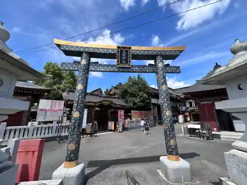 大杉神社(茨城県)