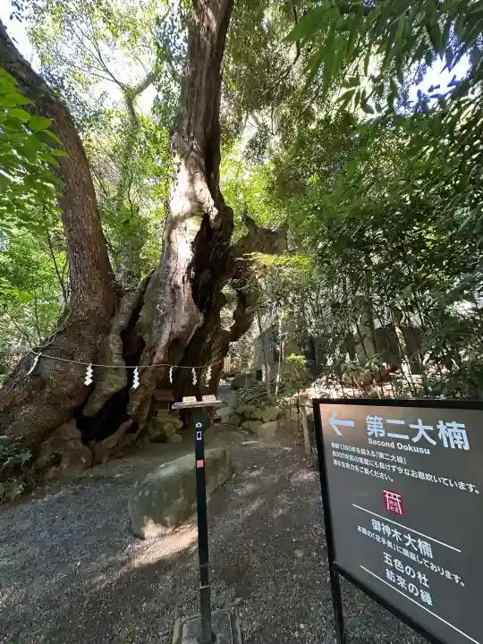 來宮神社の{uncategorized: "未分類", other: "その他", undefined: "問題あり", building: "その他建物", grave: "お墓", sacred_gate: "鳥居", guardian: "狛犬", statue: "像", buddha: "仏像", history: "歴史", nature: "自然", garden: "庭園", animal: "動物", pagoda: "塔", temizu: "手水舎", mountain_gate: "山門・神門", sanctuary: "本殿・本堂", subordinate: "末社・摂社", art: "芸術", scenery: "景色", jizo: "地蔵", ema: "絵馬", goshuin: "御朱印", omikuji: "おみくじ", items: "授与品その他", amulet: "お守り", goshuincho: "御朱印帳", eats: "食事", festival: "お祭り", votive_dance: "神楽", shichigosan: "七五三参", wedding: "結婚式", experience: "体験その他", initially: "初詣", around: "周辺", anti_infection: "感染症対策"}