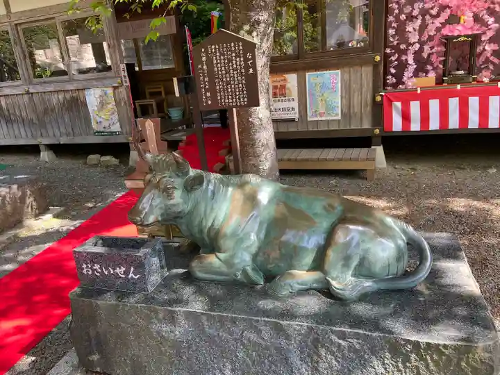 柳津虚空蔵尊 寳性院の像