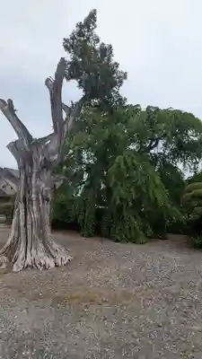 多宝院(茨城県)