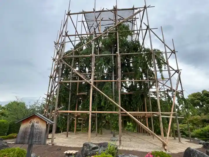 東寺(教王護国寺)(京都府)