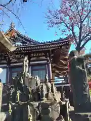 圓照寺(東京都)