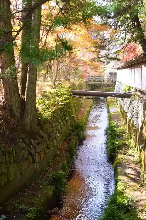 高野山金剛峯寺奥の院(和歌山県)