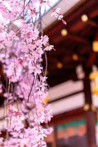 北野天満宮(京都府)